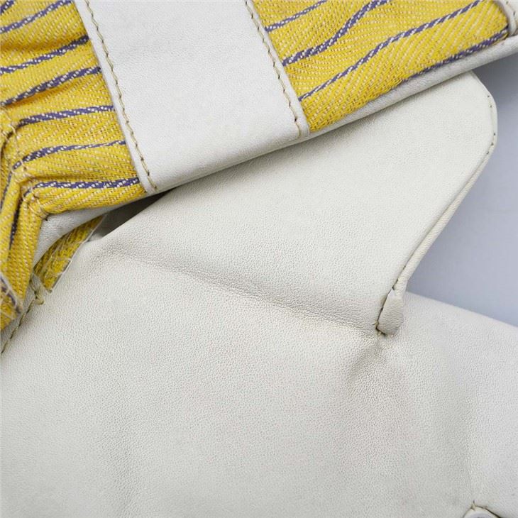 Gaotskin Driver Gloves